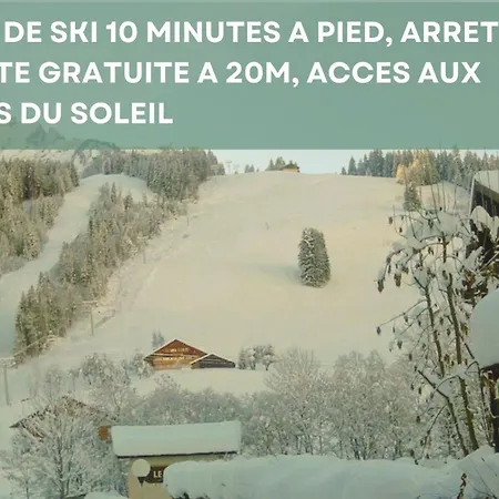 Chalet Les 4 Saisons - Ski, Parking Et Jardin Abondance Exterior foto