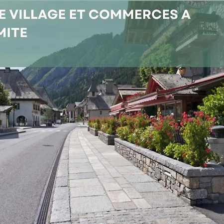 Chalet Les 4 Saisons - Ski, Parking Et Jardin Abondance Exterior foto