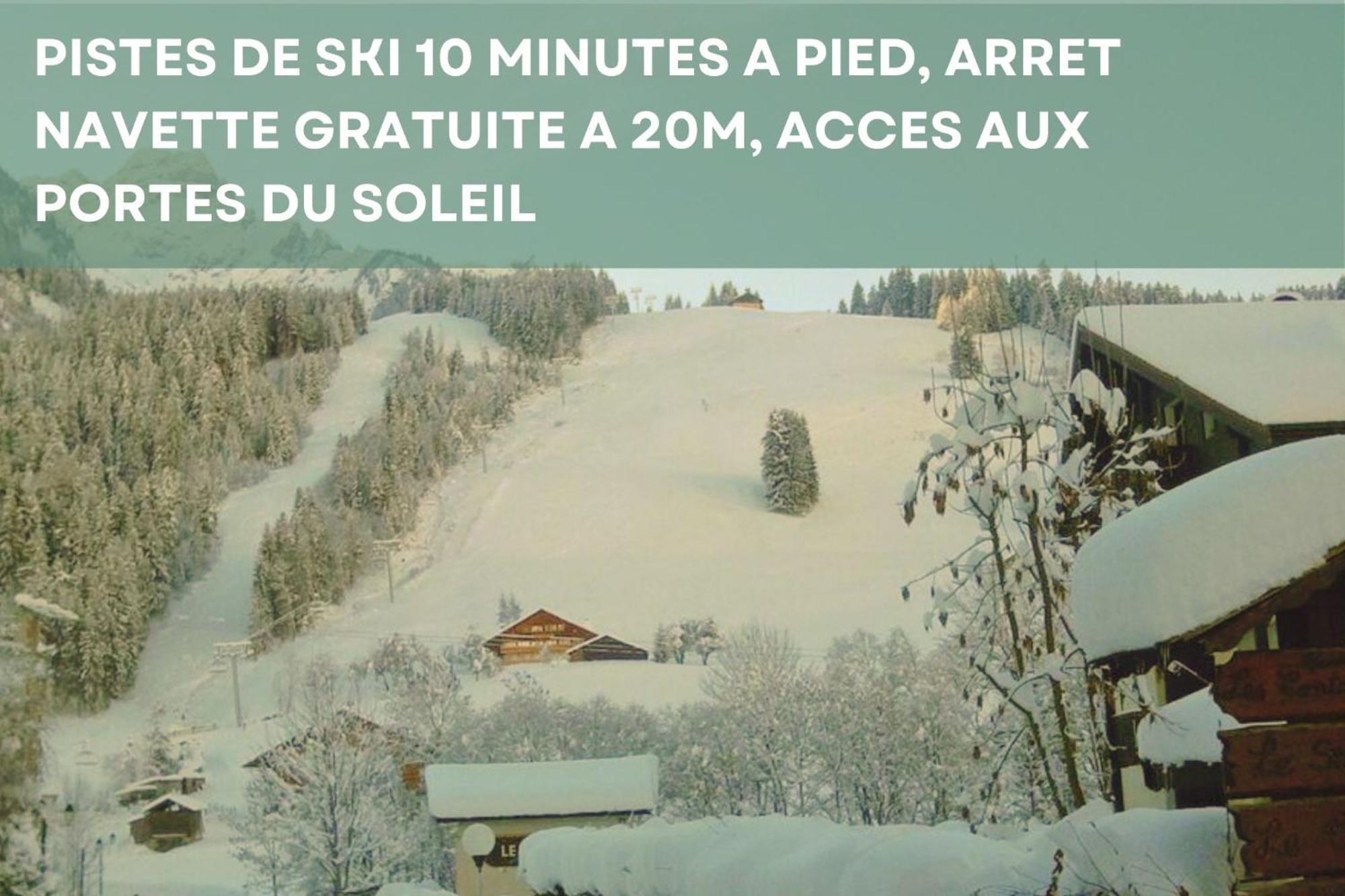 Les 4 Saisons - Ski, Parking Et Jardin